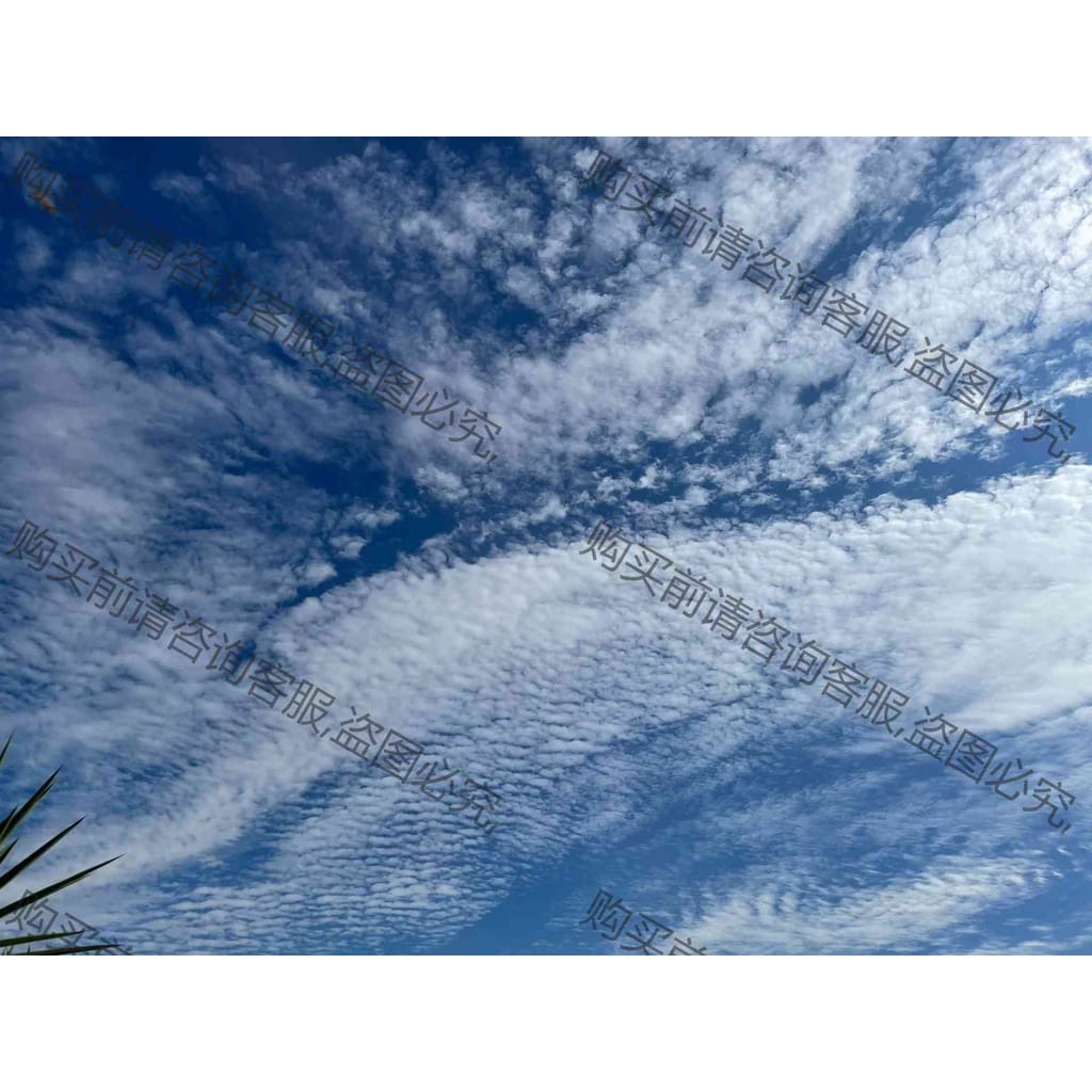 功能正常议价 6GT2821-1AC10 西门zi阅读器，全新原装