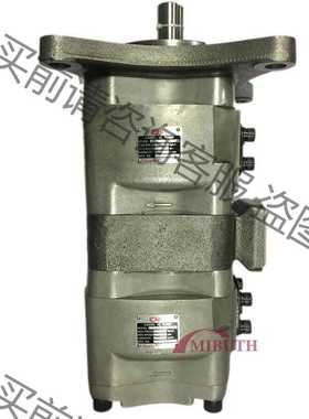 功能正常议价 CML全懋齿轮泵 IGM-2F-3.5-L-20 IGH-6