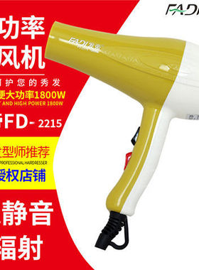 发帝家用电吹风机大功率不伤发轻巧恒温大风力学生宿舍专用吹风筒