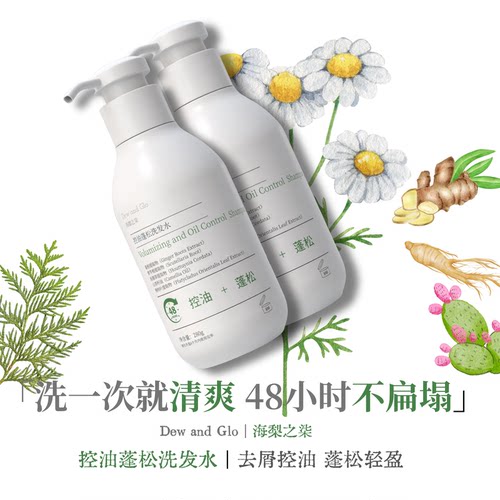 48小时控油高颅顶蓬松顺滑仙人掌