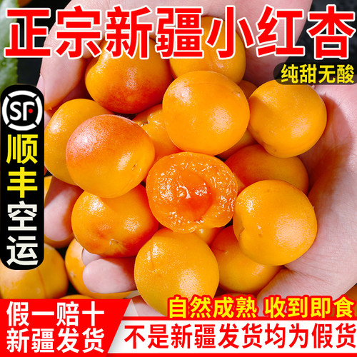 新疆小红杏新鲜杏子水果阿克苏吊干杏整箱当季孕妇甜过小白杏空运