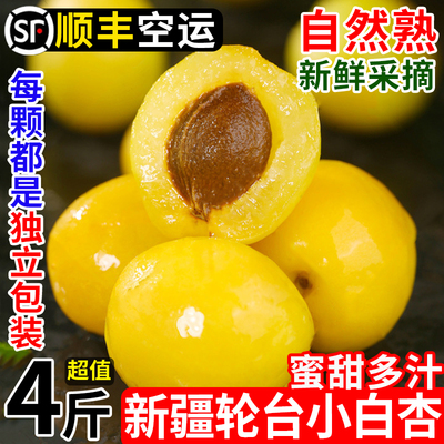 新疆小白杏原产地直发空运包邮