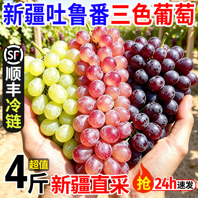 新疆葡萄新鲜当季水果三拼吐鲁番无核白无籽三色葡萄整箱顺丰包邮