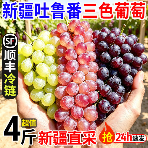 新疆葡萄新鲜当季水果三拼吐鲁番无核白无籽三色葡萄整箱顺丰包邮