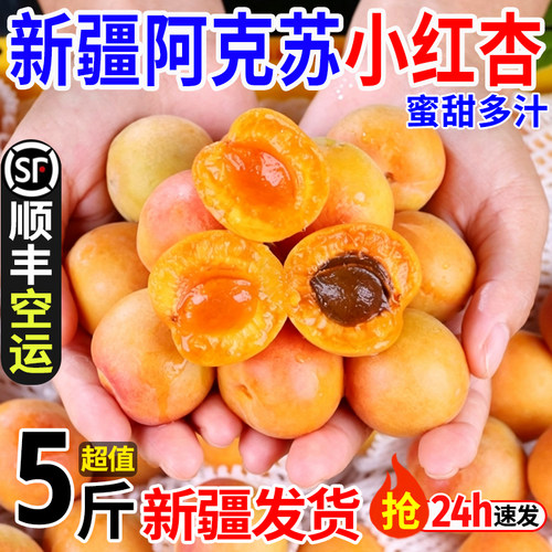 新疆阿克苏小红杏顺丰空运包邮