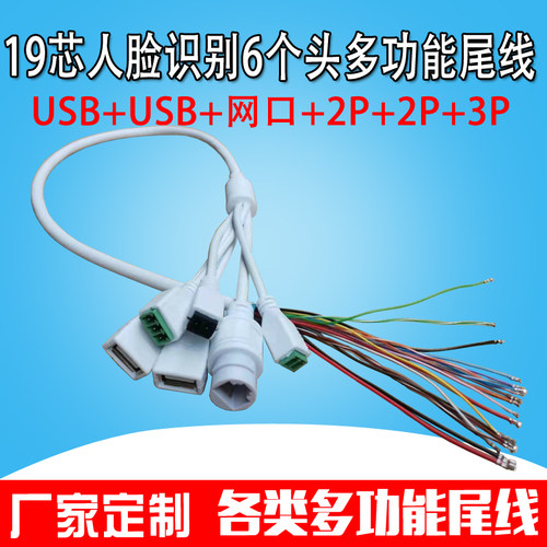 新品人脸识别人19芯两个USB母头双2P3.81母座3P网口6接头连接尾线
