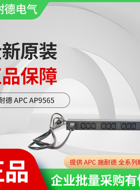 AP9565 施耐德PDU电源铝合金大排插座板12位口C13正品19英寸机柜