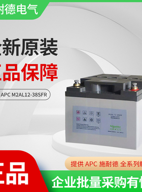APC施耐德原装免维护电池12V38AH UPS不间断电源专用M2AL12-38SFR