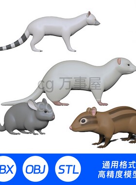 STL模型三维3D打印貂龙猫麝猫松鼠动物园可爱写实猫328