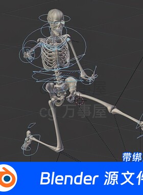 Blender 骷髅人体骨架骨骼带绑定实验室88