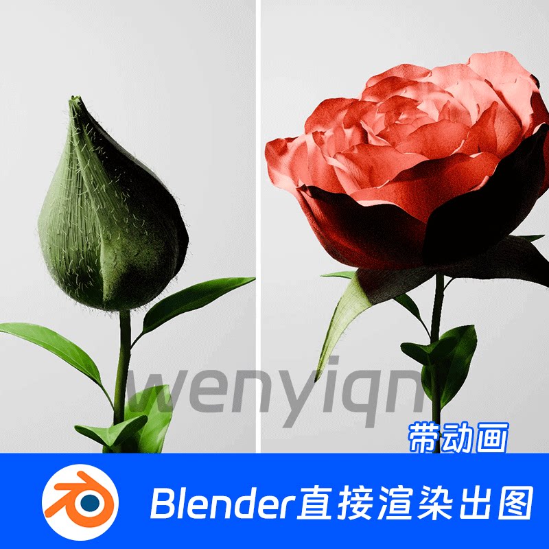 玫瑰花开花牡丹花开放动画花瓣花朵Blender场景模型1773