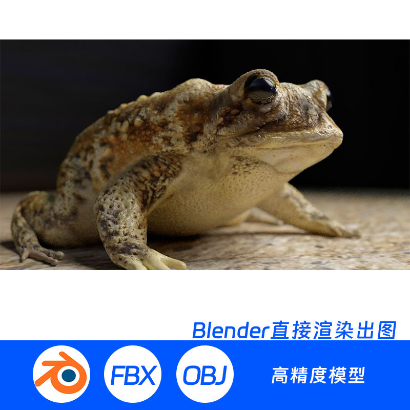 青蛙牛蛙蟾蜍癞蛤蟆田鸡树蛙BLENDER场景模型969