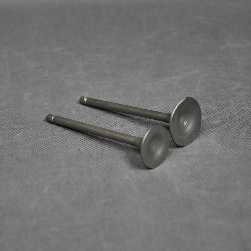 宗申力帆隆鑫cg125/150/200/250水冷风冷摩托进排气门气门