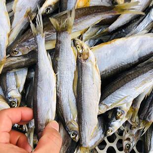 2025年新货浑江风干春秋季晾晒清灵子青麟鱼淡水湖l冷水干货特产