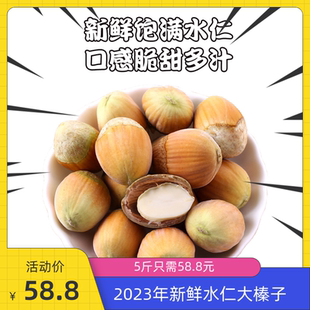 2025年新鲜水瓤仁原味生坚果香甜大榛子去脱绿皮东北薄皮干果辽宁