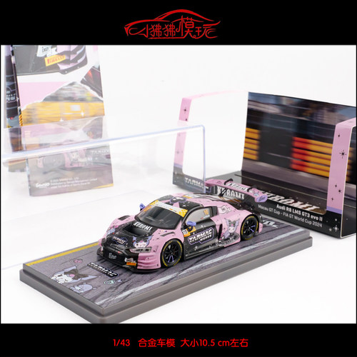 TW奥迪R8LMSGT3澳门赛汽车模型