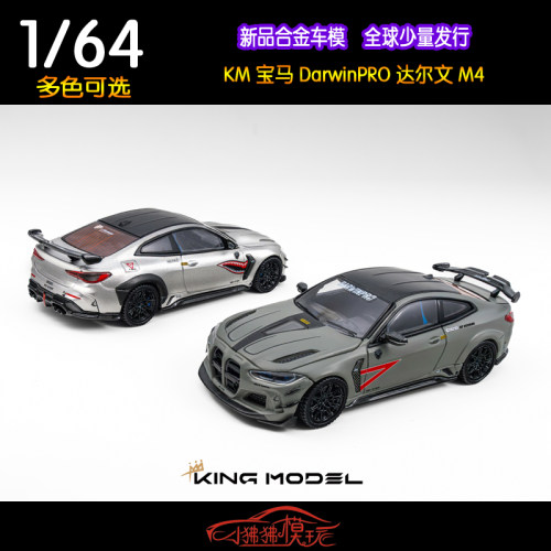 KINGKM达尔文DarwinPRO宝马M4车