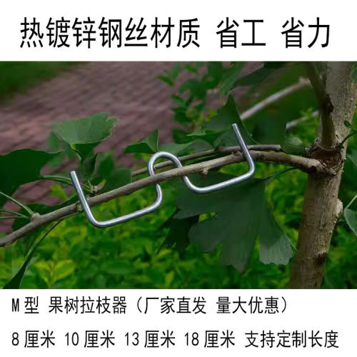 M型别枝器苹果翘头拉平