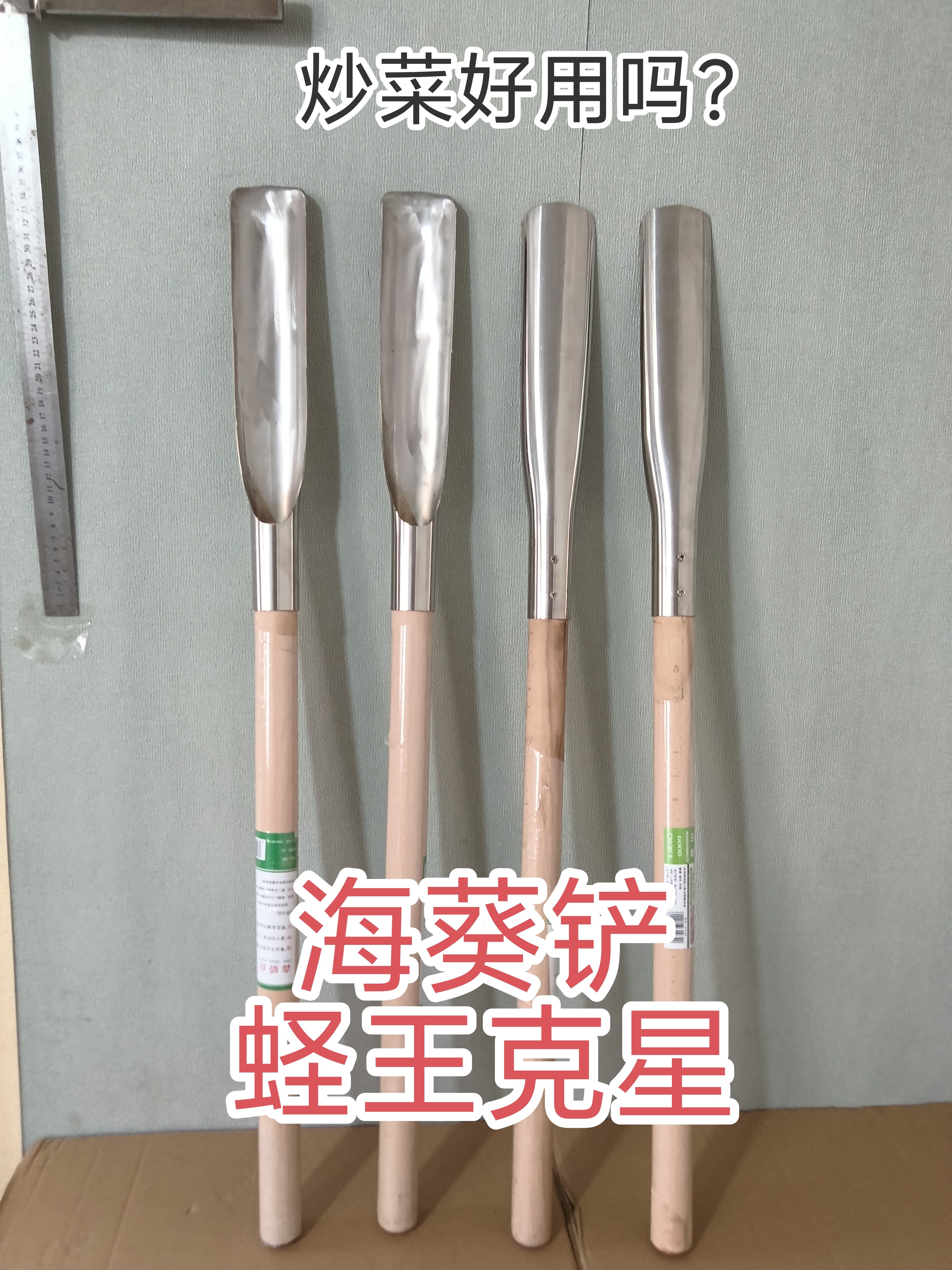 不锈钢海葵铲蛏王铲海鲜铲园艺铲刀榉木木柄近海赶海工具鱼虾蟹贝