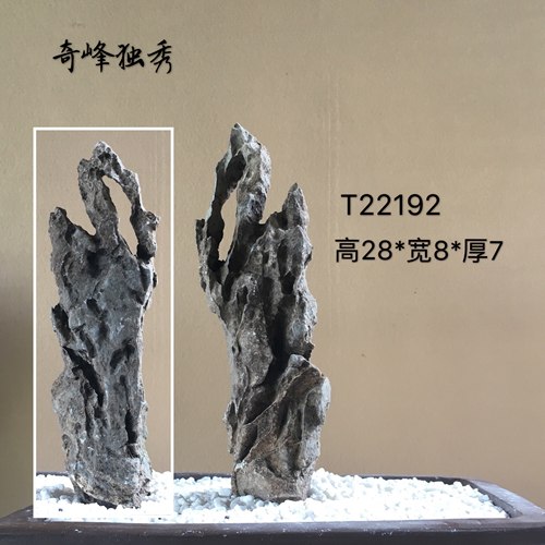 盆景附树抱石条形英德书房文案