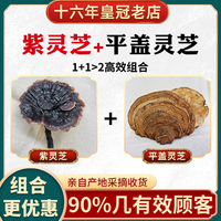 源滋福野生紫灵芝搭配野生平盖灵芝1500g/套可切片切粒十五年老店