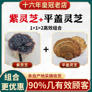 源滋福野生紫灵芝搭配野生平盖灵芝1500g 套可切片切粒十五年老店