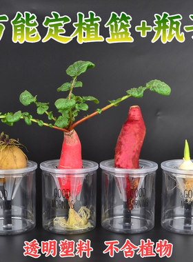 塑料透明瓶子带根茎定植篮