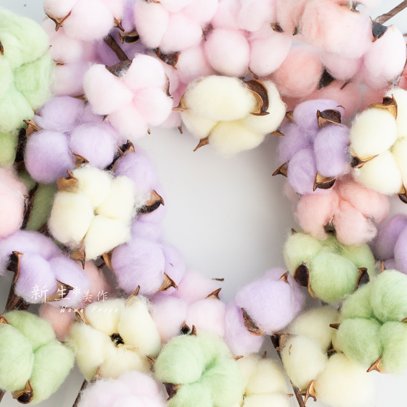 彩色干棉花枝北欧风儿童房软萌插花可爱拍照干花道具天然棉壳质朴