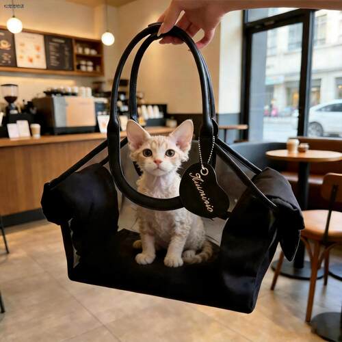 √德文猫专用外出包小幼