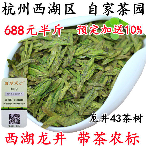 现货西湖龙井2026春茶杭州龙坞产区明前龙井茶农直销250g带茶农标