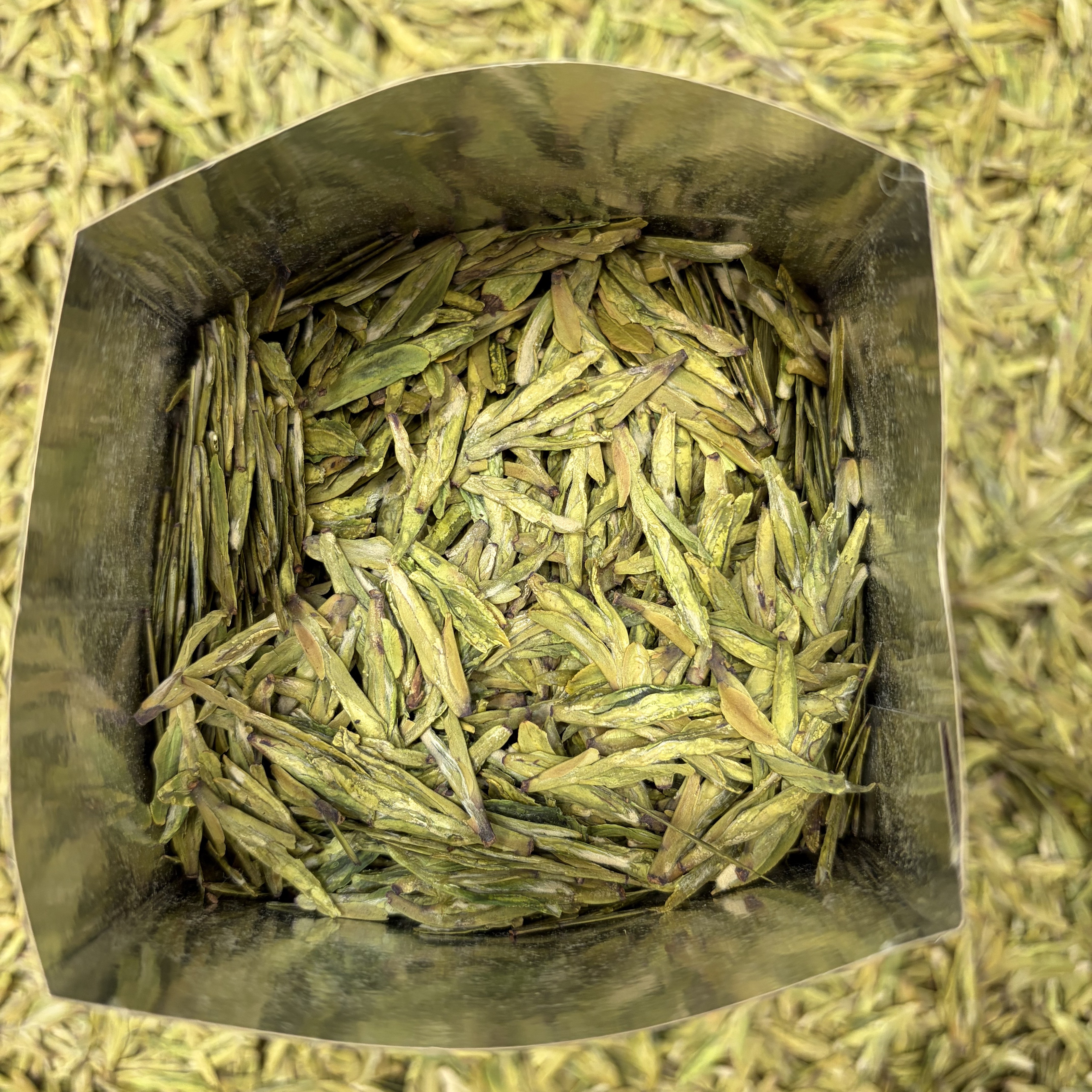 2026年新茶 精品头采芽头粗壮 开园头采 黄版浓豆香 龙井43号品种