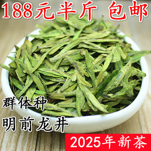 老茶树龙井豆香 包邮 龙井2025新茶杭州龙井 明前特级茶叶绿茶250g