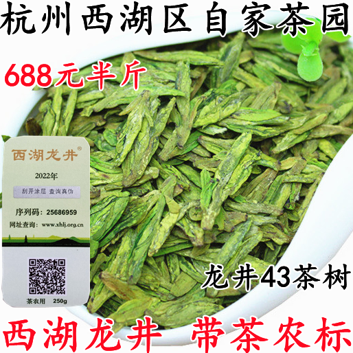 现货2024春茶杭州龙坞产区明前西湖龙井头采茶农直销250g带茶农标