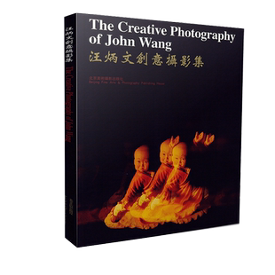 汪炳文创意摄影集/广告摄影商业摄影人像人体写真摄影北京美术摄影/用光与构图作品欣赏有趣创新平面设计广告公司美术摄影参考书籍