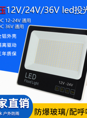 低压投光灯户外防水交流直流12V24V36V伏led灯工地船舶电瓶工作灯