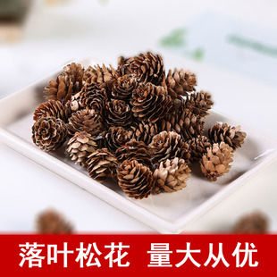松果小落叶摆件迷你松花diy手工工艺品吊灯华北落叶松果圣诞挂件