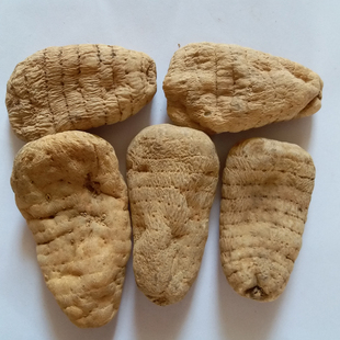 云南正品昭通特产彝良小草坝仿野生天麻不酸无硫500克起包邮