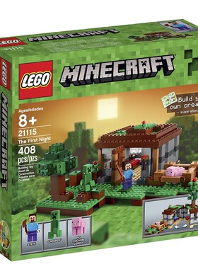 乐高LEGO 组装儿童玩具我的世界 初夜 21115智力拼接收藏