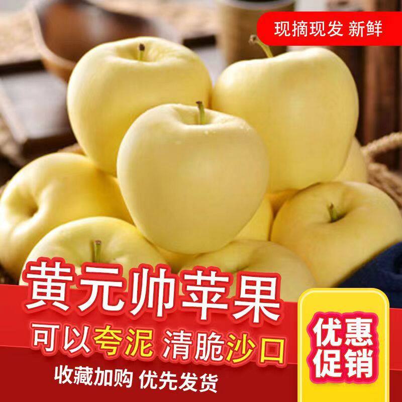 粉面苹果苹果正宗好吃黄元帅
