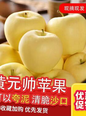 粉面苹果苹果正宗好吃黄元帅