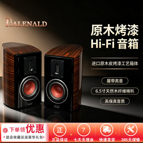 发烧音响进口工艺6.5寸中低音箱