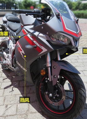 隆鑫180RR挡风部件LX175GS挡风装饰罩无极180RR挡风风板迷你跑车