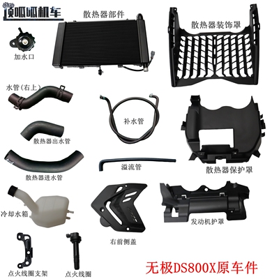 LX800-2A无极DS800X散热器 冷却水箱 发动机护罩 前侧盖 点火线圈