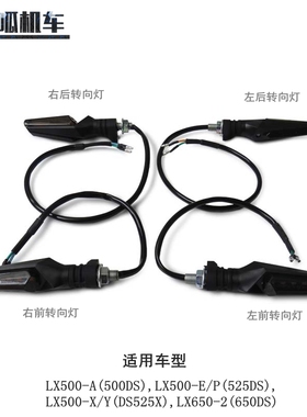 无极500DS 525DS DS525X 650DS转向灯方向灯摩托车原车配件