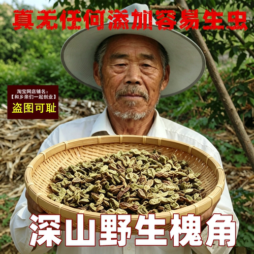 野生槐角中药材槐实 国槐槐豆 槐连豆槐子槐实膏槐角丸槐米茶原料 - 封面