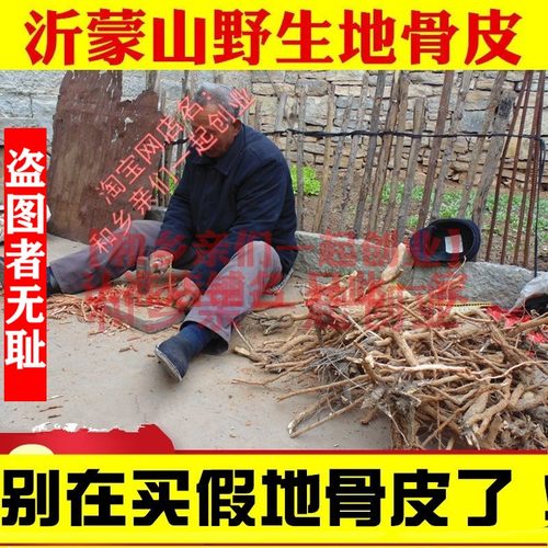 老人纯手工野生地骨皮中药材