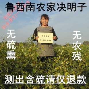 熟决明炒制决明子 自种决明子生决明子枕头种子 草决明非决明子茶