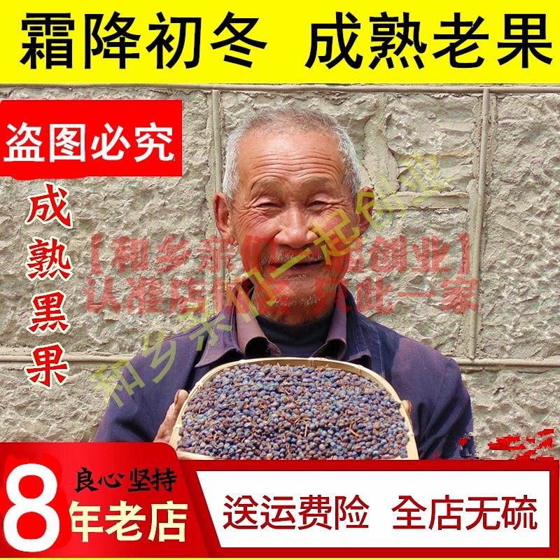 沂蒙山野生女贞子500克 正品成熟老果冬青子女贞子粉茶中药材泡酒,传统滋补营养品,其他药食同源食品,淘宝优惠券,粉丝福利购,淘宝优惠卷