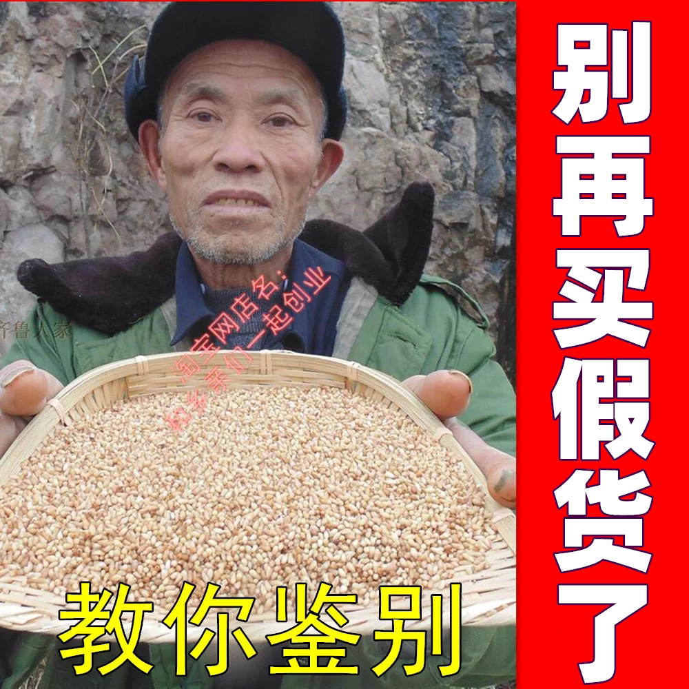求求大家别再买假的柏子仁了！图片