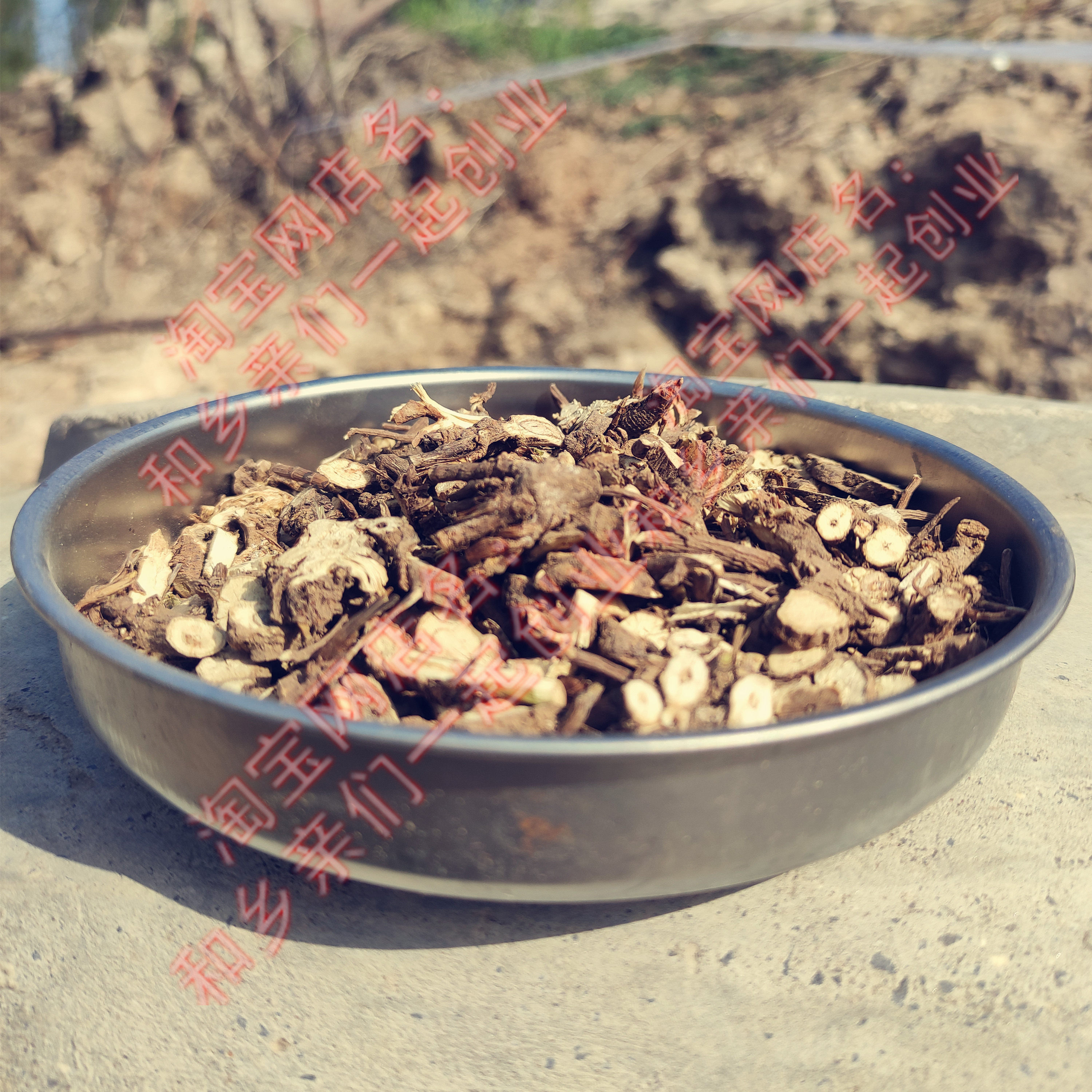 野生晒干山东北柴胡无硫